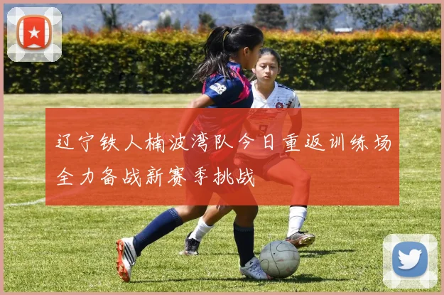辽宁铁人楠波湾队今日重返训练场全力备战新赛季挑战