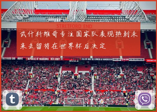 武什科维奇专注国家队表现热刺未来去留将在世界杯后决定